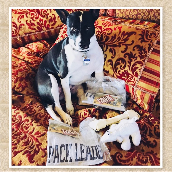 💍2/$10, 3/$13 Pack Leader T - Picture 4 of 5